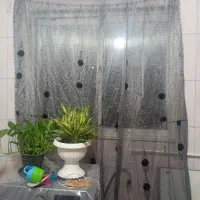 پرده