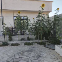 باغچه-هزار-متری-در-اطراف-شیراز