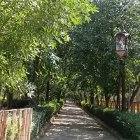 استخدام