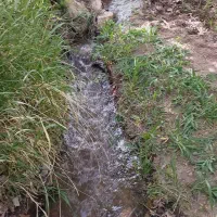 700مترباغ-مشجر