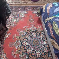 ۶متری فرش