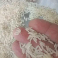 برنج ایرانی طارم درجه یک