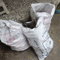 چوب خشک نارنج