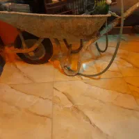 فرغون