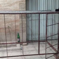 قفس پرنده