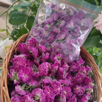عرقیجات|خوردنی و آشامیدنی|تویسرکان, |دیوار