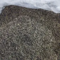 زیره منطقه خبر طمع تند و خوب