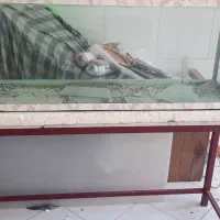 اکواریم