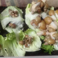 حراج حلزون اچاتینا سفید