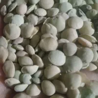 عدس تازه خوش پخت درشت
