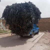 نوار تیپ قطره‌ای