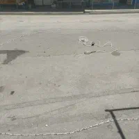 تور ماهیگیری