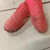 استوک