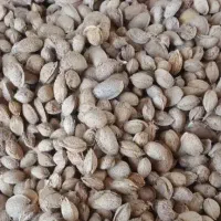 بادام اجیلی کاغذی