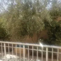 اجاره-زیرزمین-امتیاز-بالا