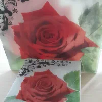 دوتادیس و۱۲بشقاب مربعی  و۱۲عددظرف ژله ای