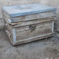 زنبور عسل کندو