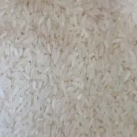 برنج پاکستانی خوشپخت