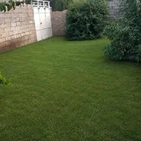 اجاره-جوان