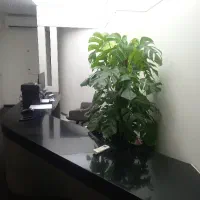استخدام مشاور منطقه سعادت آباد