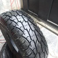 لاستیک پاترول