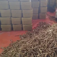 جذب نیرو آقا و خانم