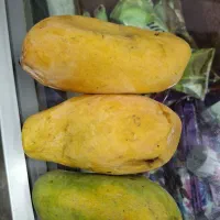 انبه جعبه ده کیلویی با قیمت ۱۷۵۰