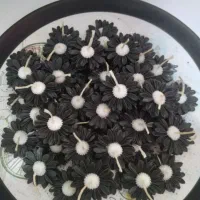 شمع گل مارگاریت