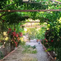 ویلا باغ اجاره سی سخت