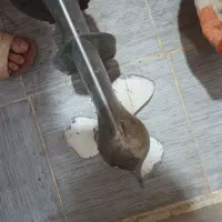 موتور قایق