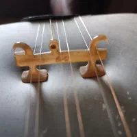 تار استاد ایرج کلهر