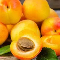 زردالودرجه یک ازهمه نمونه قیسی،خیاری،نوری