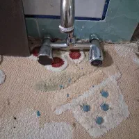 شیر مخلوط