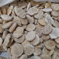 کشک و روغن محلی کرمانشاه