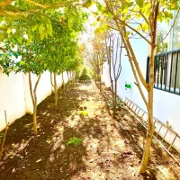 منزل-دربستی-70متری-محدوده-شهربانی