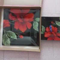 خیارخوری نو نو با کارتن