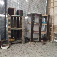 فروش دو عدد قفس کبوتر