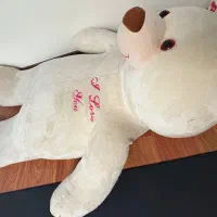 خرس ۲متری