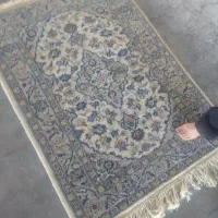 زرع ونیم اردکان