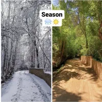 فروش باغ میوه