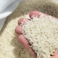 برنج درجه یک هاشمی