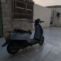پاکشتی TD