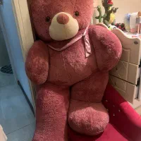 عروسک|اسباببازی بچه|تهران, ارامنه|دیوار