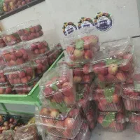 کارگر ساده جهت کار در میوه فروشی