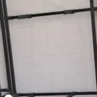 رگال
