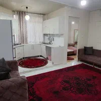 روزانه / ساعتی / جمهوری