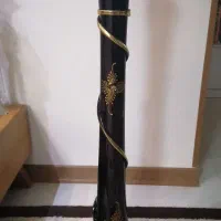 کنار سالنی