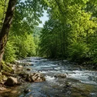 راهنمایی و مشاوره