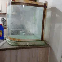 آکواریوم بابخاری هست