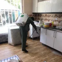سمپاشی تضمینی از بین بردن تمام سوسک ها و همه حشرات